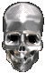 skull.gif