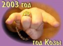 koza2003.jpg