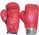 EVERLAST_Traditional_Syle_Boxing_Gloves 12oz_EL2962.jpg