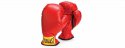 1329843286_320662016_1----EVERLAST.jpg