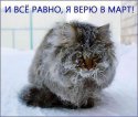 мартовский кот.jpeg
