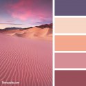 color-palette-763.jpg