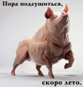 snimok_yapfiles.ru.jpg