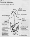 паразиты человека0003.jpg