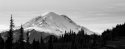 Rainier2008-2.jpg