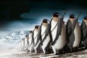 44768675_penguin_army.jpg