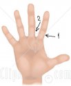 11397-Human-Hand-And-Fingers-Clipart-Illustration.jpg