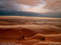 national_geographic_01.jpg