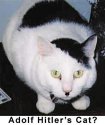 Adolf Hitler's Cat1.jpg