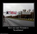 857135_kote-ne-edet-bolshe-v-chelyabinsk.jpg