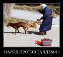 Народ против тандема.jpg