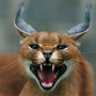 caracal