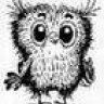 wiseowl