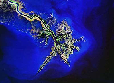 Year 2_Mississippi Delta.jpg