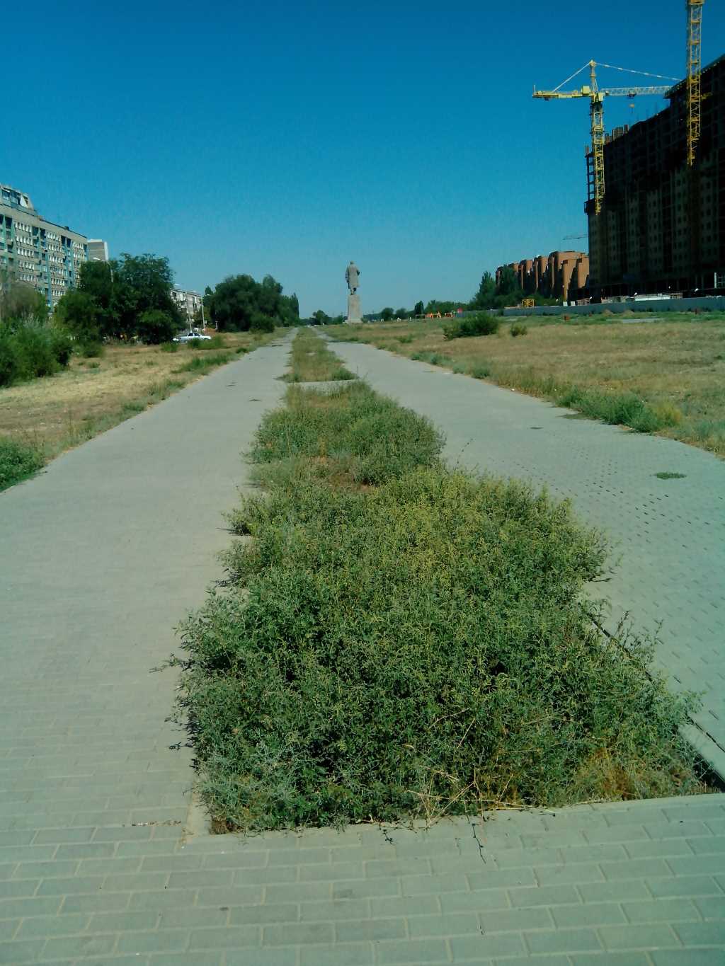 2017-08-14 10-40-07.JPG