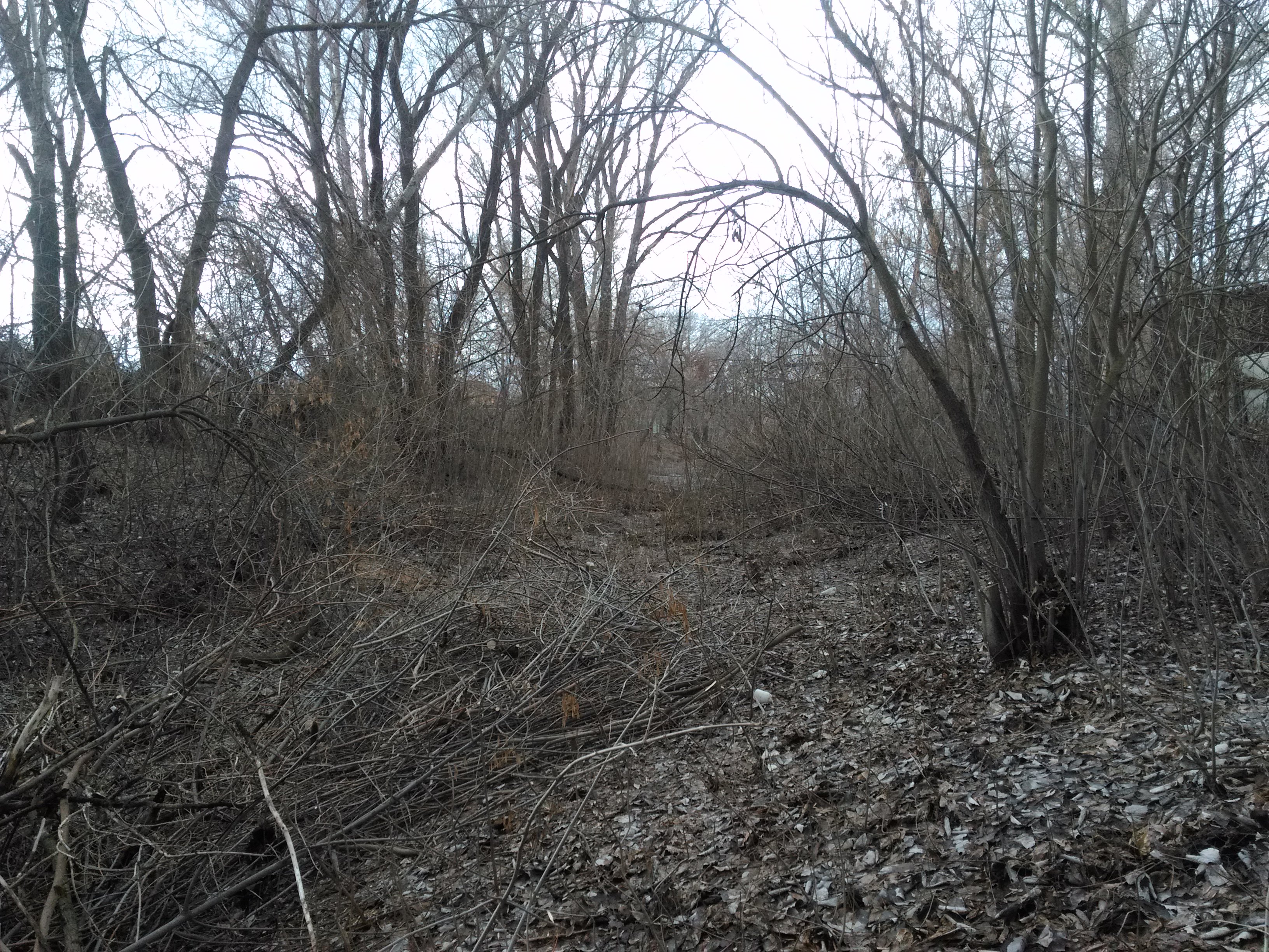 IMG_20160207_114524.jpg