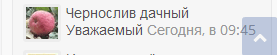 глубокоуважаемый чернослив.png