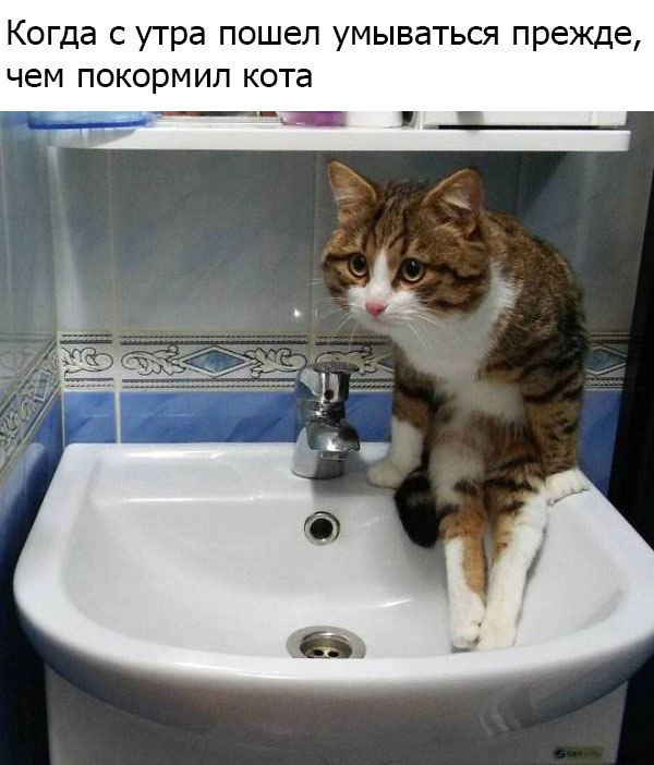 syANhHEYsgU.jpg