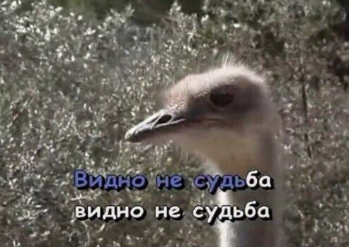 J96IPpbGTyo.jpg