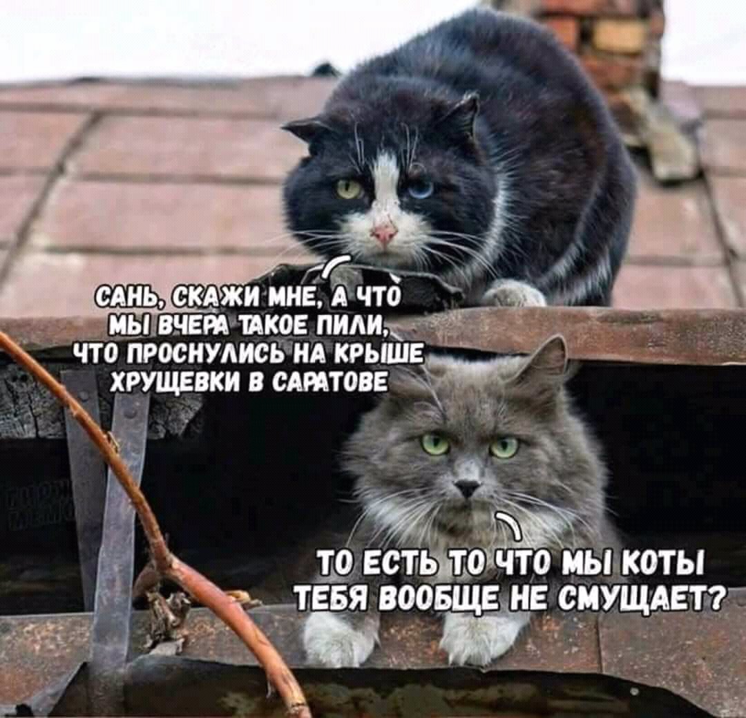 DPlZVf6W4AEHM3P.jpg