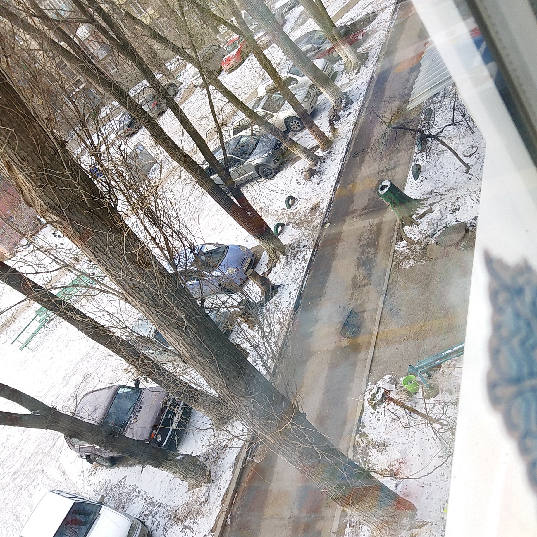 20180215_101424.jpg