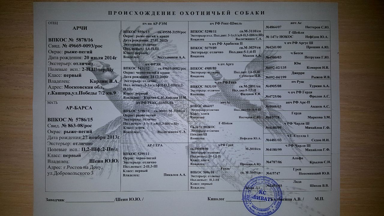 IMG-20180516-WA0009.jpg
