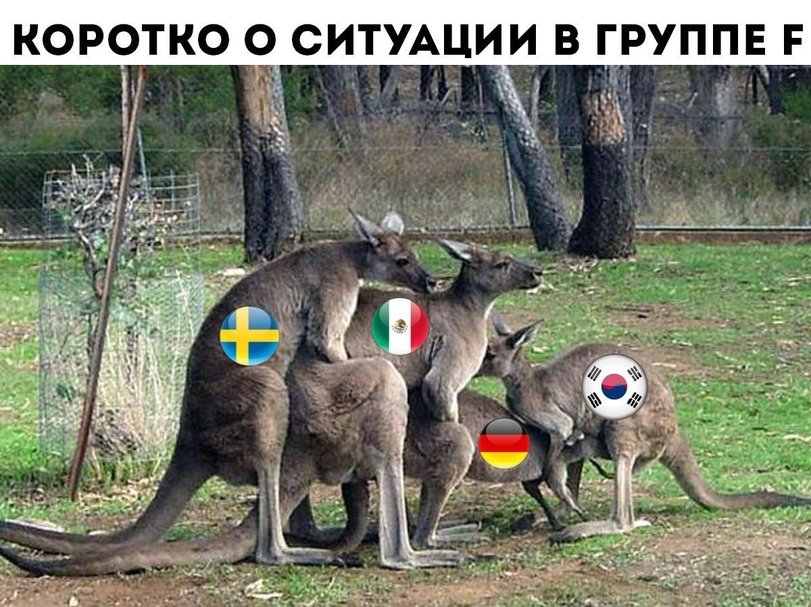 Группа F.jpeg