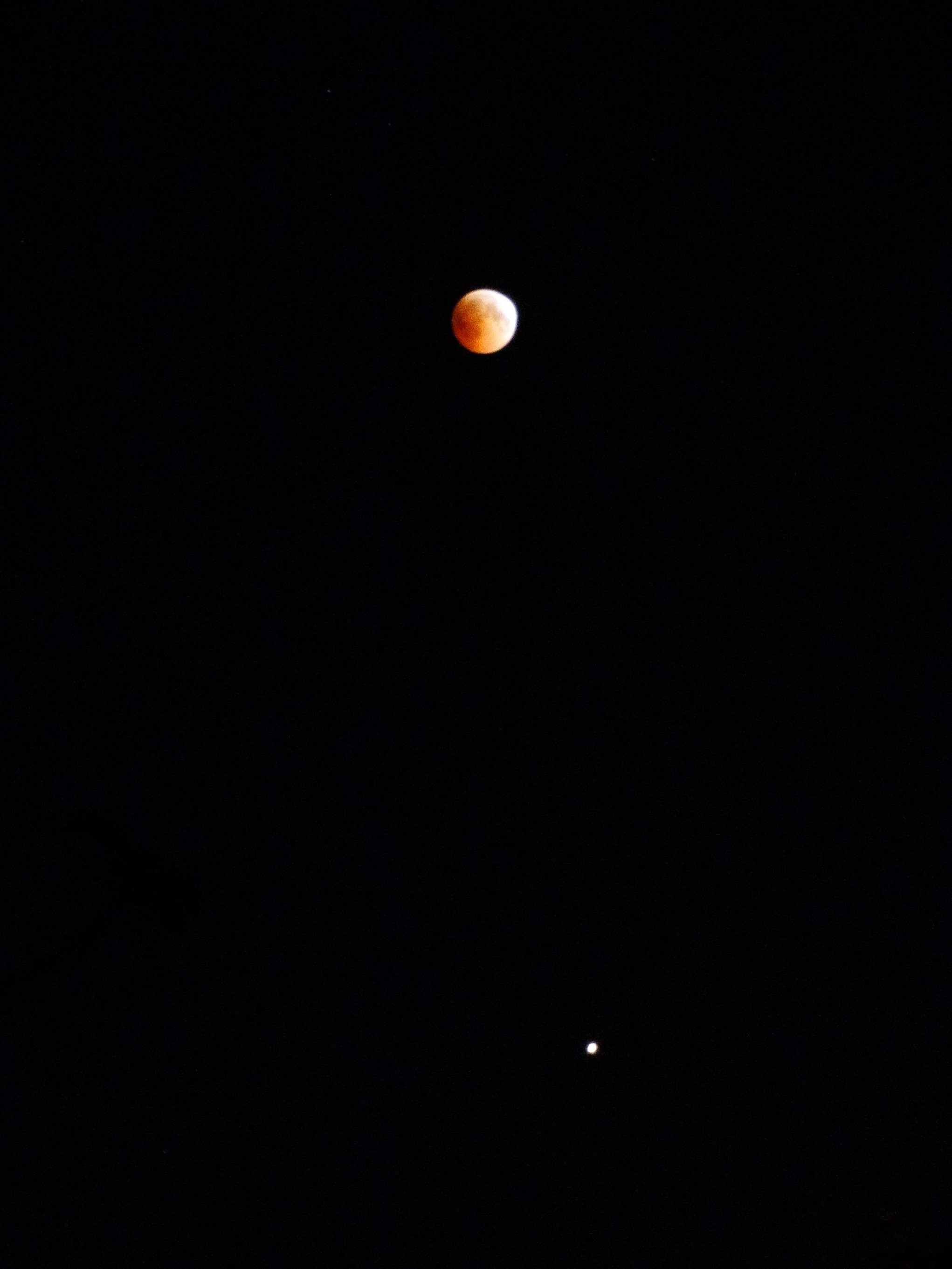 DSC02101.JPG