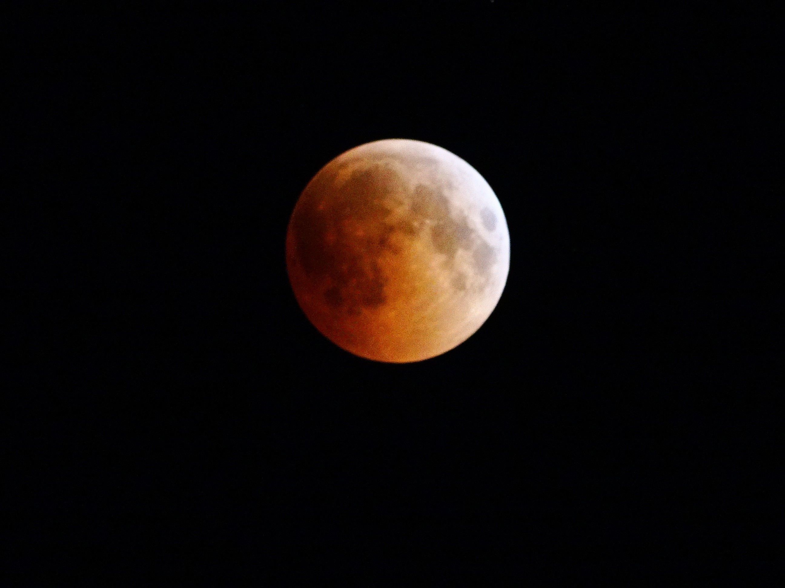 DSC02104.JPG