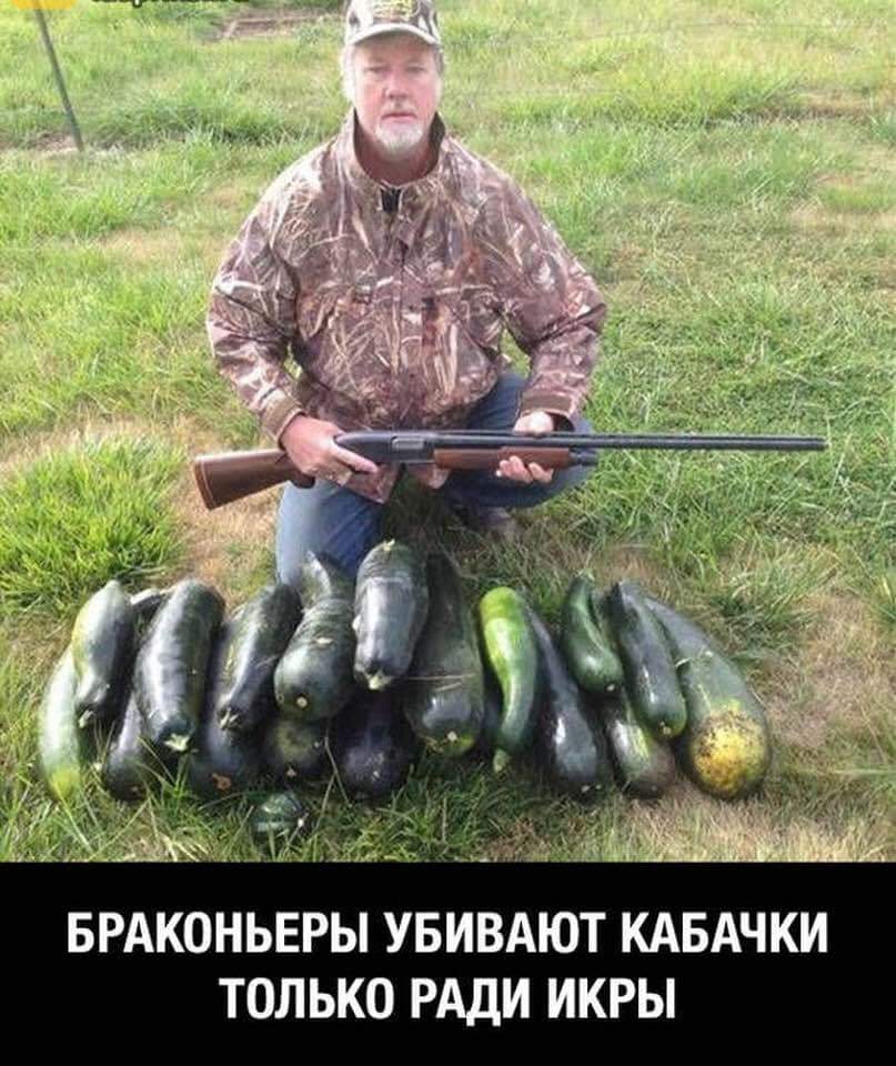 FB_IMG_1536616505372.jpg