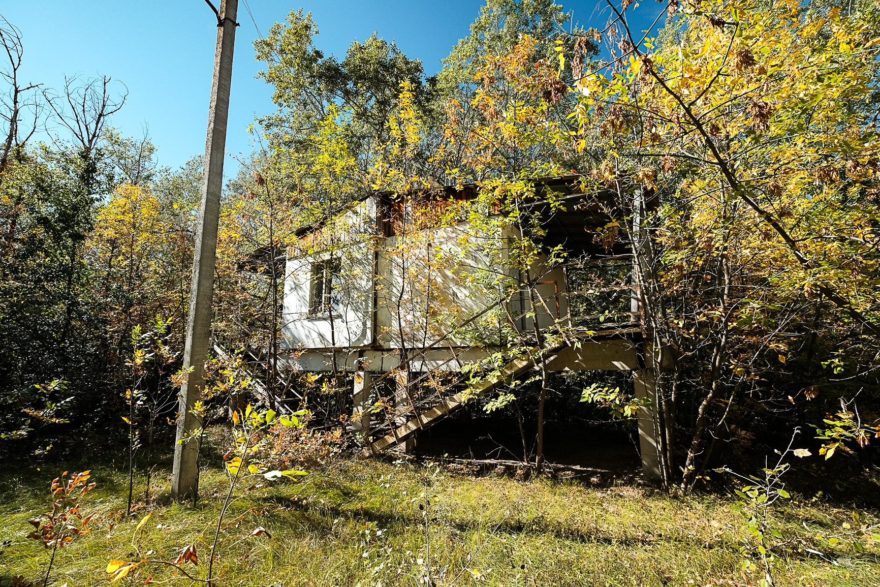 DSCF7115.jpg