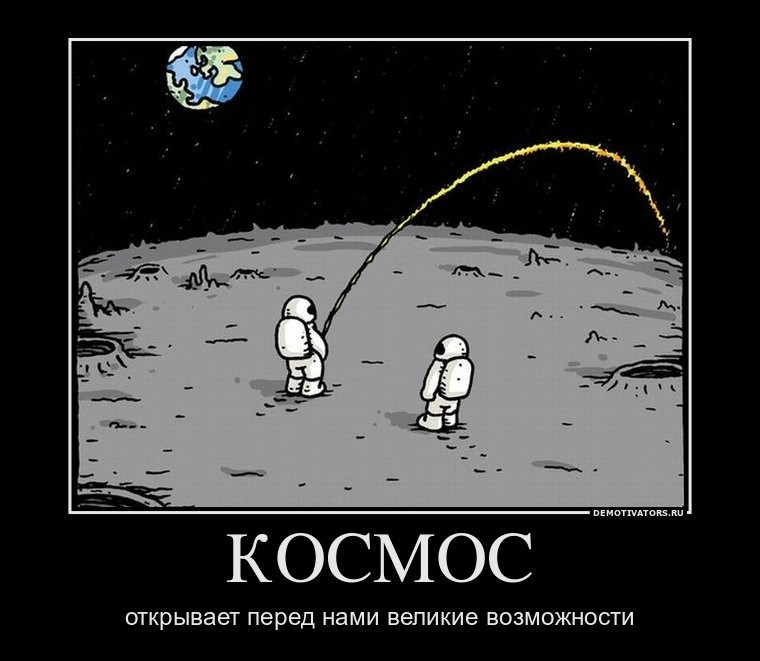 53378899.jpg