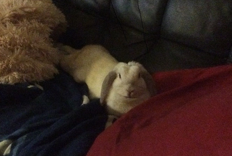 IMG_0310 - копия.JPG