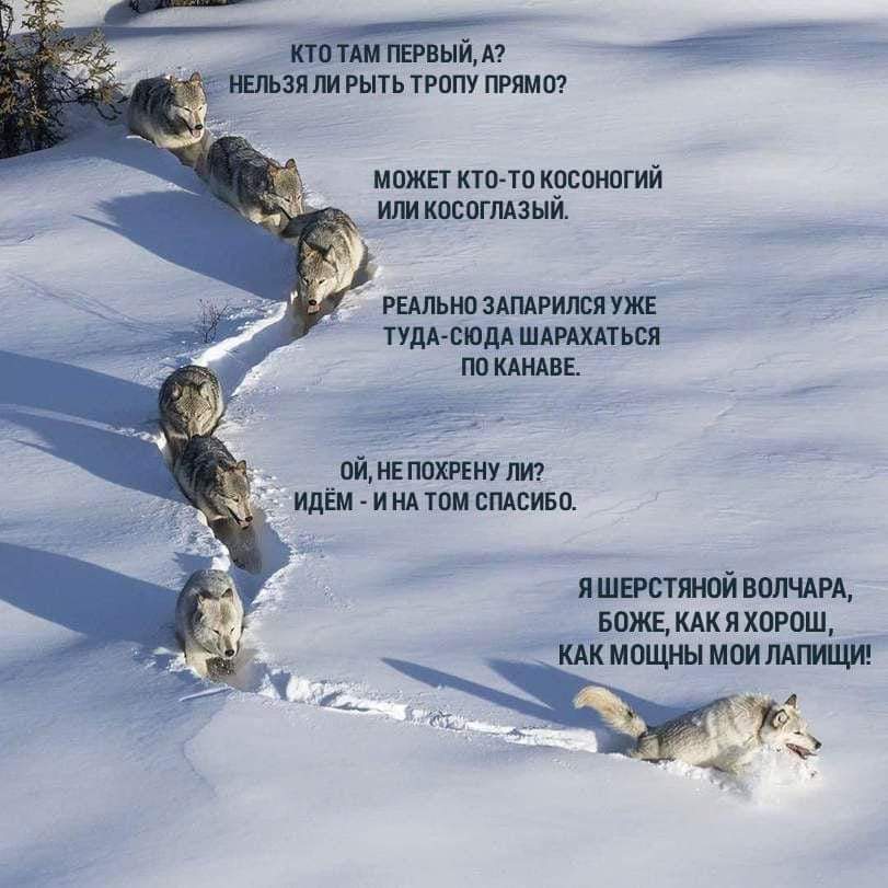 FB_IMG_1544361588538.jpg