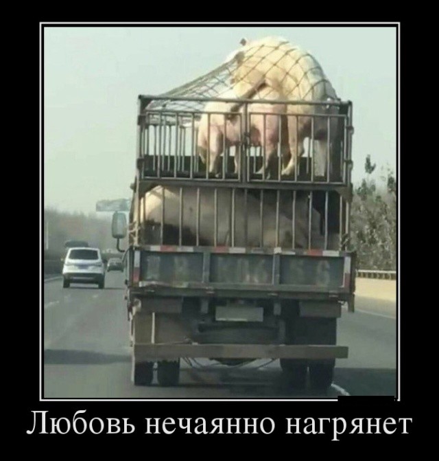 1541236248_korzik_net_demotivatory_19.jpg
