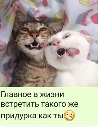 IMG-20190109-WA0105.jpg