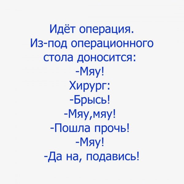 1523816296_korzik_net_1523712609_g3eqypis1wa.jpg