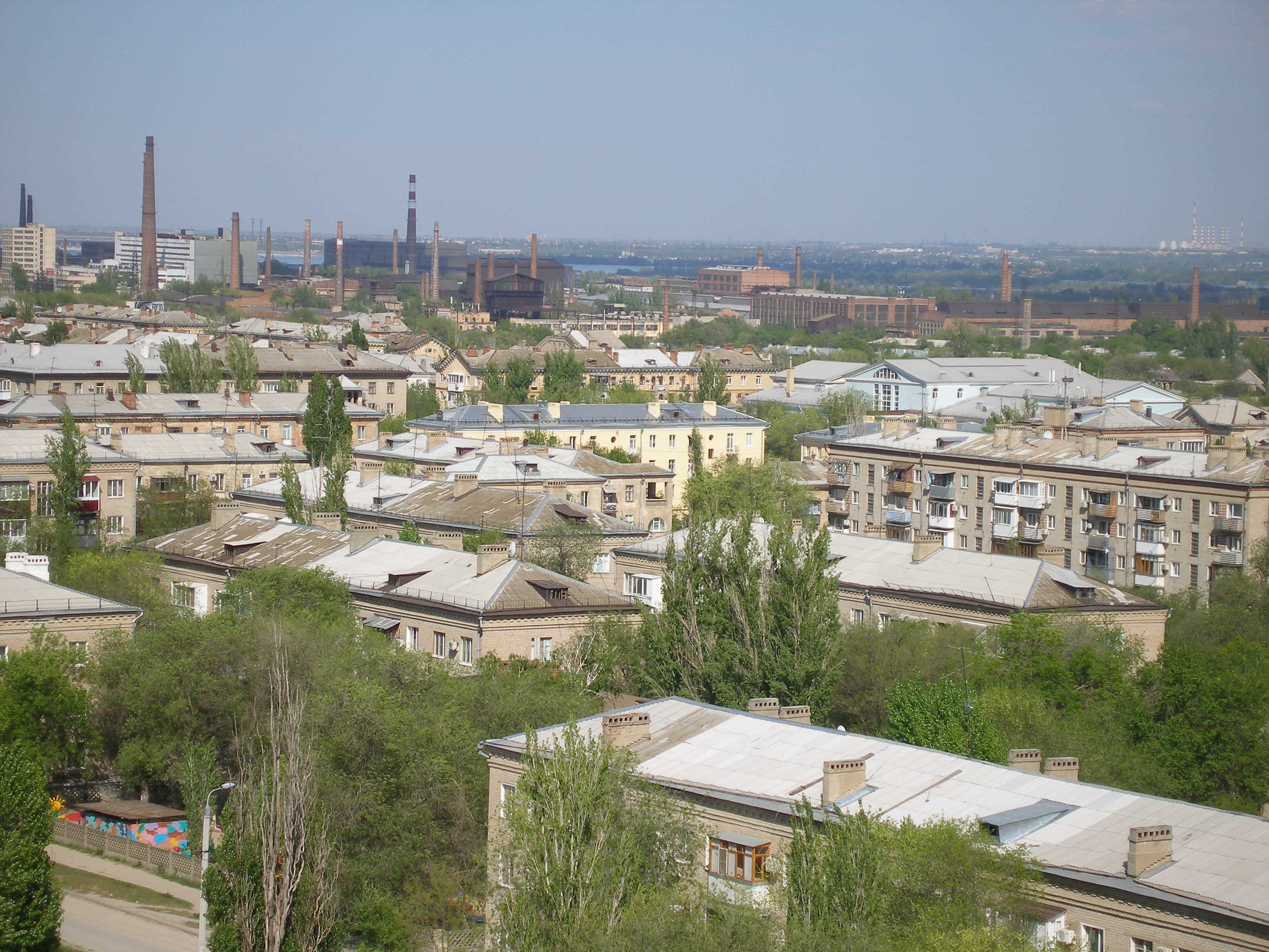 P1010020.JPG