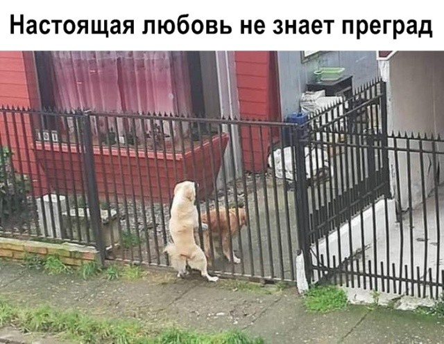1559638927_korzik_net_a-20.jpg