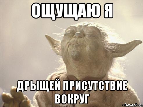 yoda_29947539_orig_.jpeg