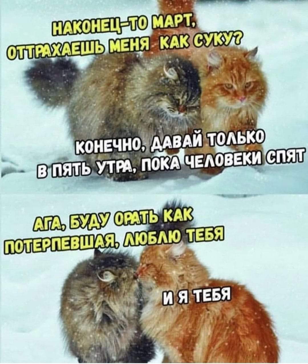 FB_IMG_1563207040813.jpg