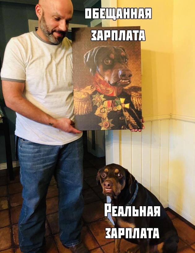 1565946341_korzik_net_1565944780_podb_24.jpg