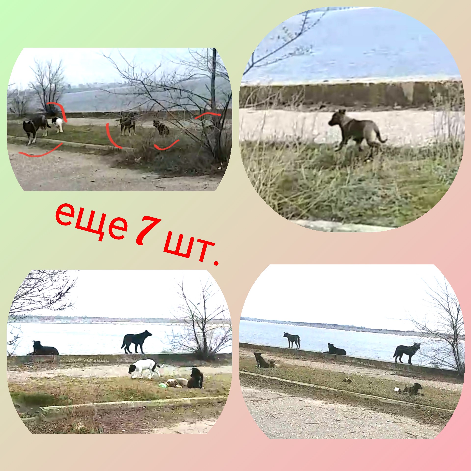 Polish_20200314_181843701.jpg