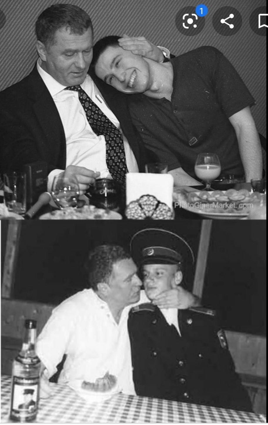 Владимир Жириновский гомосек