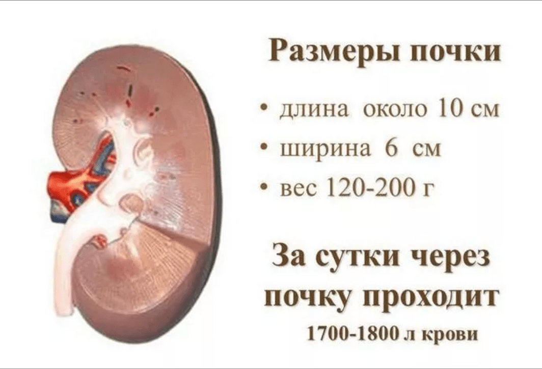 upload_2020_08_22_16_18_49_928.png