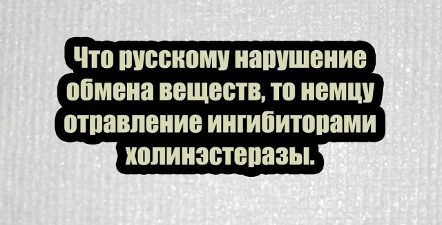 14673049.jpg