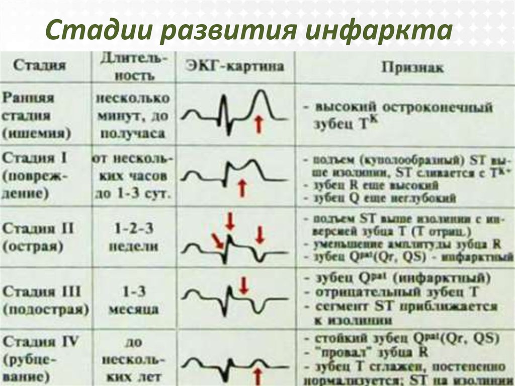 slide-13.jpg