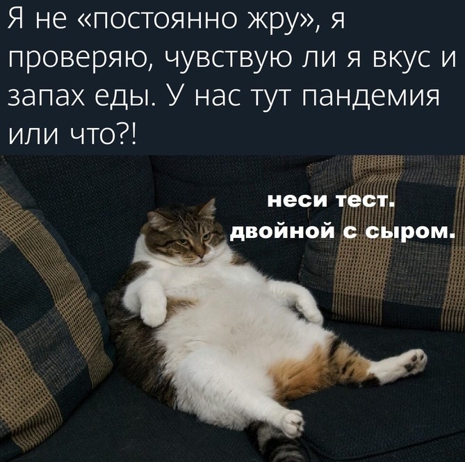 Yjfo53_igQ4.jpg