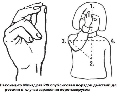 hx0lqFCqk5M.jpg