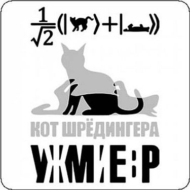 кот шредингера.jpg